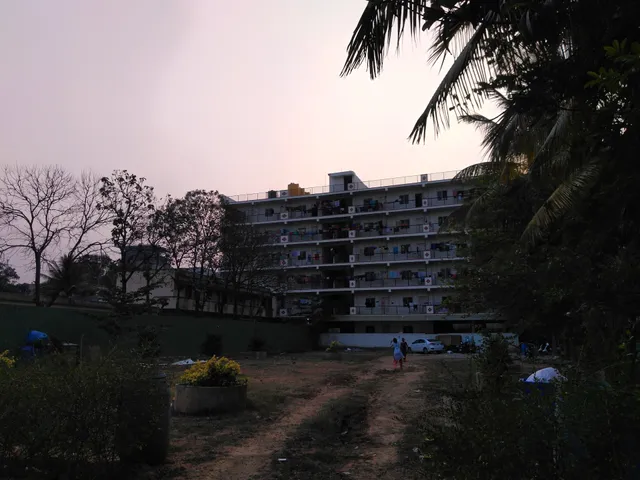 Daffodils PG for women in electronic city