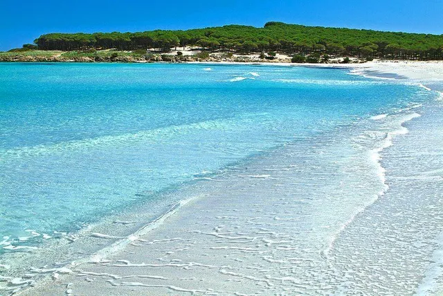 Solaria • Home Holiday •