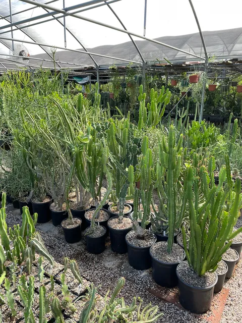 Arid Lands Greenhouses