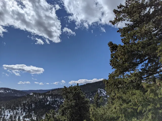 Ponderosa Sisters Loop