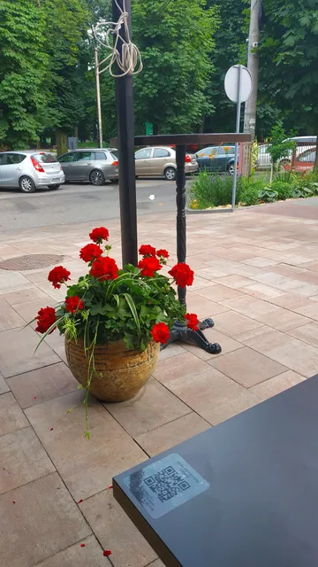 photo-2