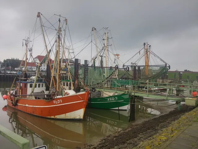 AEK 15 Fedderwardersiel GmbH & Co.KG