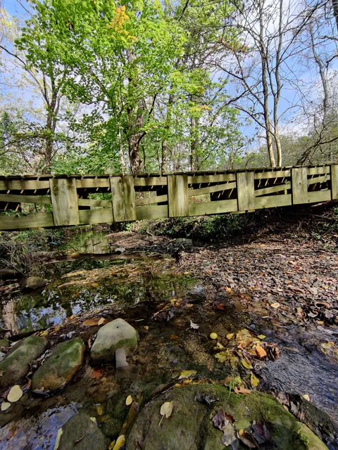 Alum Creek Phase 1 MTB Trail