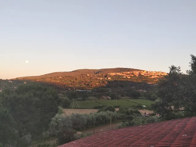 Appartamenti Gli Alberi