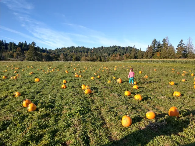 Olson Farms - Damascus, OR