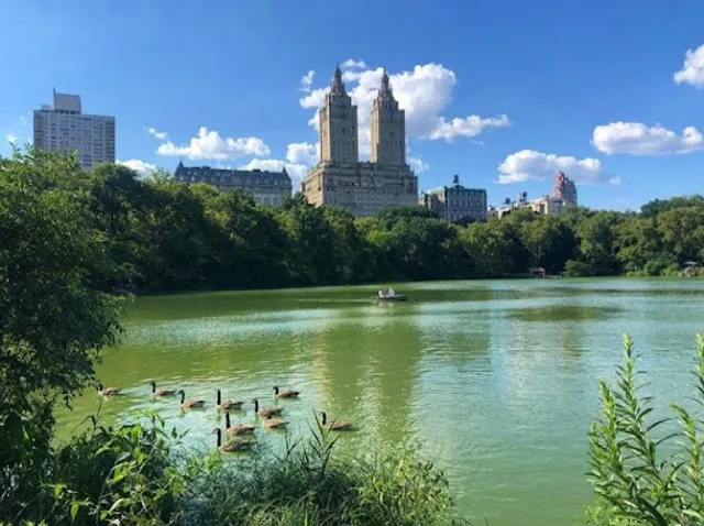 110 St-Malcolm X Plaza