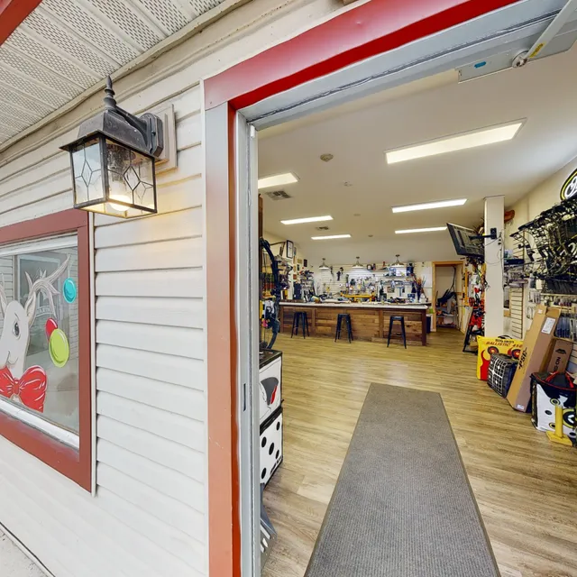 Silver Birch Archery