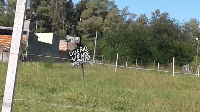la cabaña del bosque casa de te