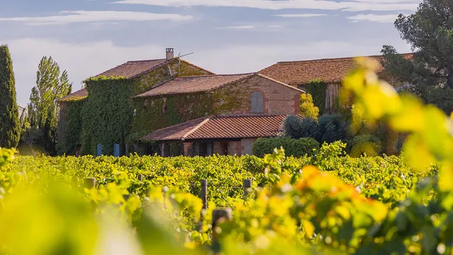 Mas Baux Domaine Viticole / Organic Estate