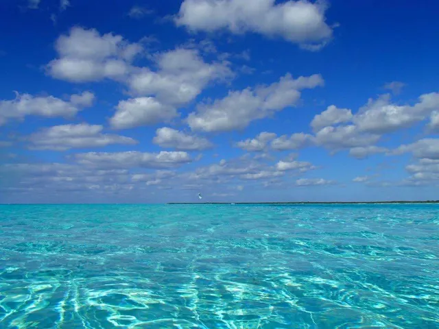 Cozumel Tours & Excursions By Flip