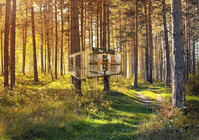 TREEHOUSE (Lincoln House)