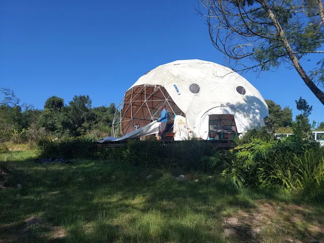 Forest Harmony | Knysna forest accommodation | Forest Sanctuary