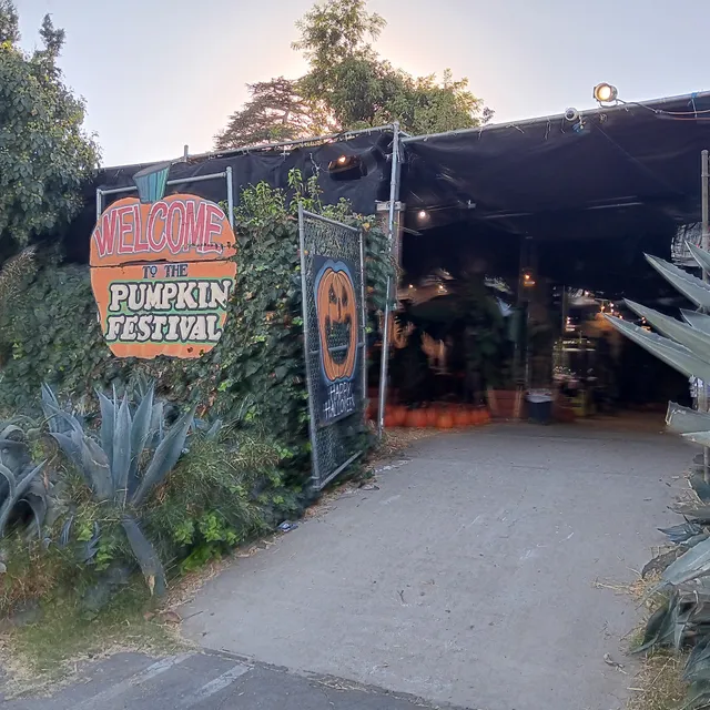 Toluca Lake Pumpkin Festival & Christmas Trees