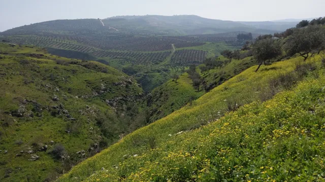 Jordan Trail Association