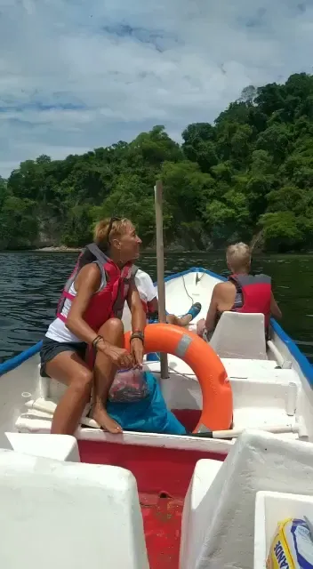 Eddy's Bioluminescence