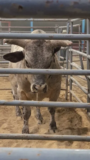 McMinn County Layman Agricultural Exposition Center