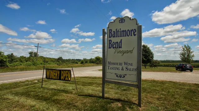 Baltimore Bend Vineyard