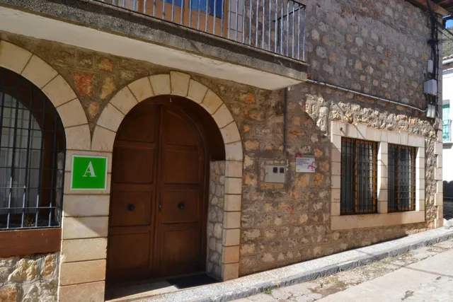 Time Hostel Mushrooms