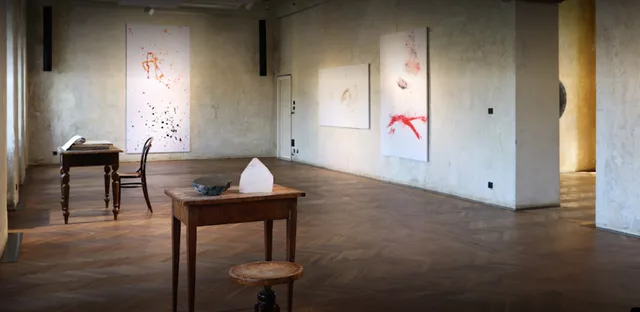 SmetanaQ Gallery
