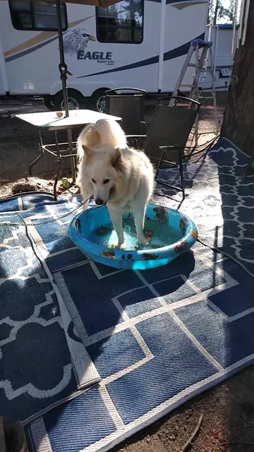 Triple-E Tent & Trailer Park