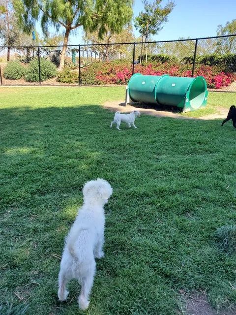Creekside Park Dog Park