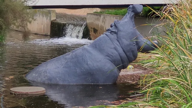 Vallparadís: Torrent Monner