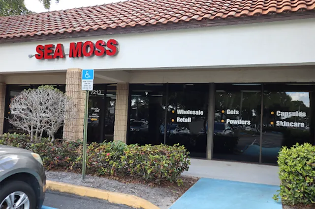 Atlantic Gold Sea Moss