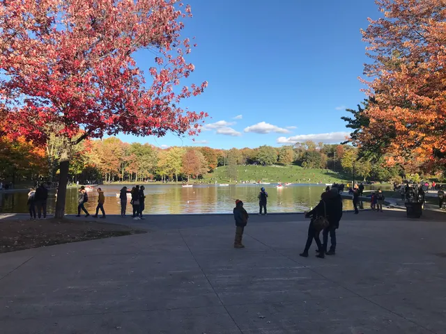 Mt-Royal Park