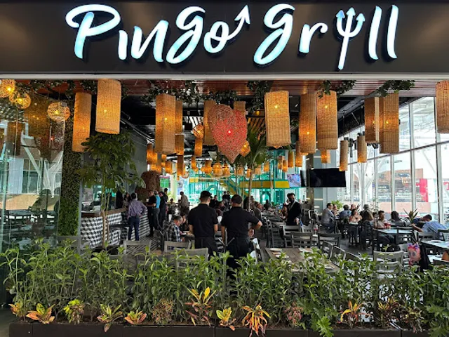 Pingo Grill