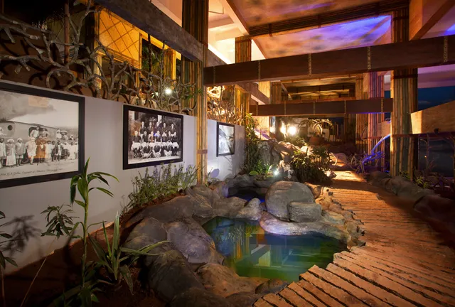 Chandys Windy Woods 5 Star Resort Munnar