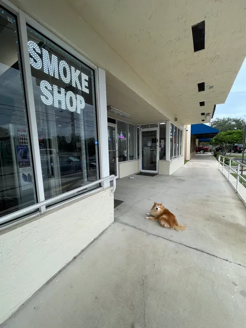 Sinless Vapes & Cigar Co. PARKLAND I CORAL SPRINGS - Get Exclusive Deals on Our App