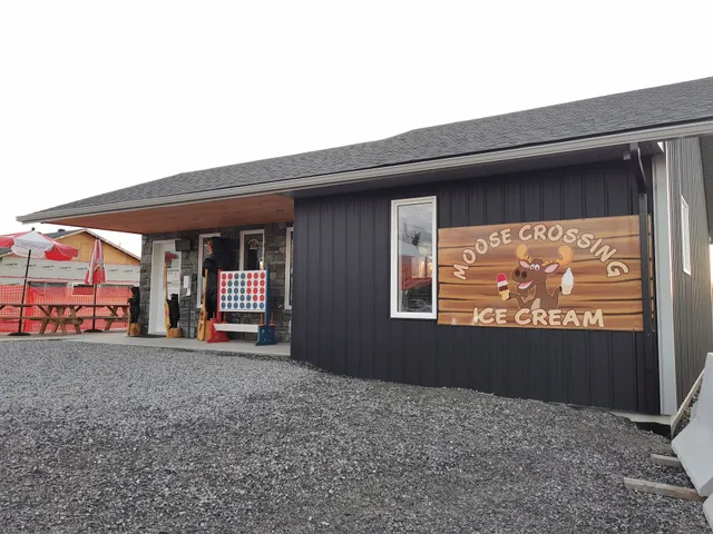 Moose Crossing Ice Cream