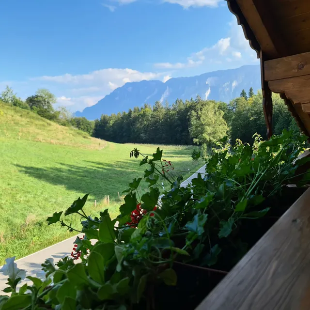 Ferienwohnung Fagerer