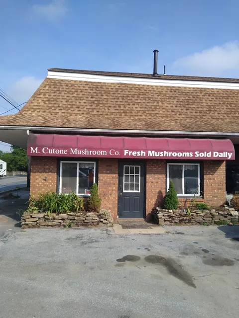 M. Cutone Mushroom Co, Inc.
