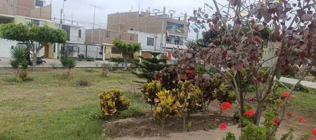 Urb. Santa Rosa - San Vicente De Cañete