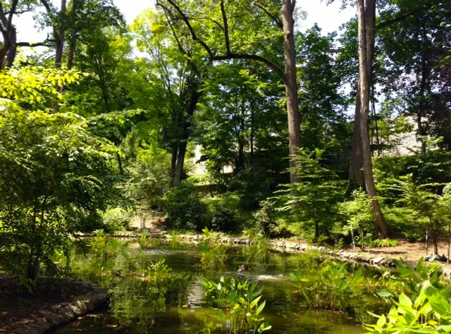 Tregaron Conservancy