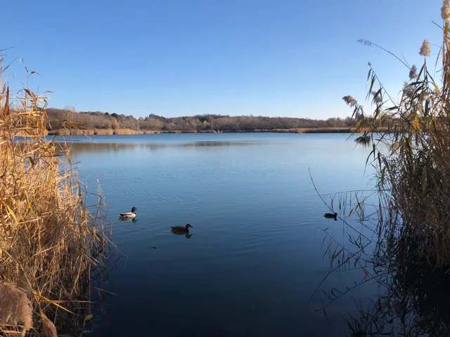 Wienerbergteich Badestrand