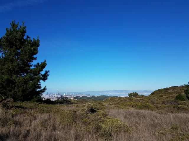 San Bruno Mountain Picnic Area