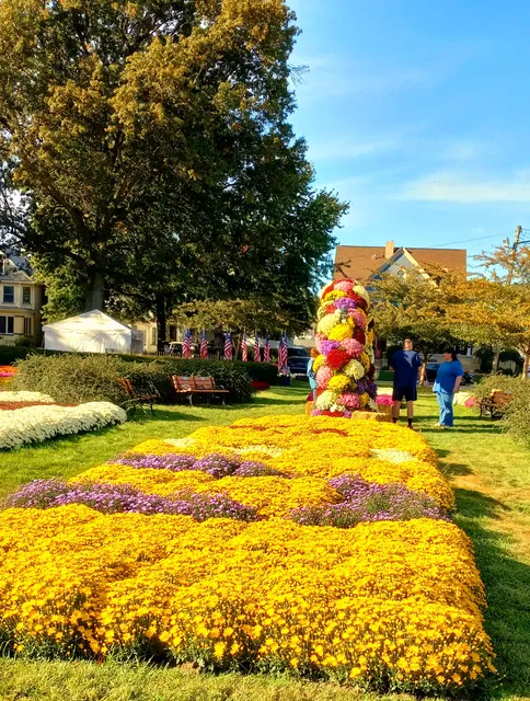 Barberton Mum Festival