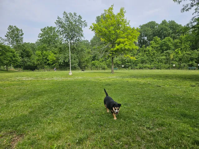 DuSable Dog Park