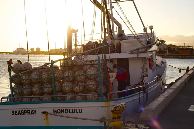 Fresh Island Fish Co, Oahu