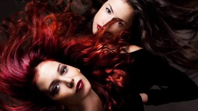 Boardroom Hairstylists