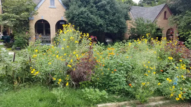 CommonWealth Urban Farms