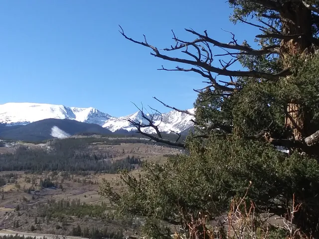 Colorado Trail Trailhead