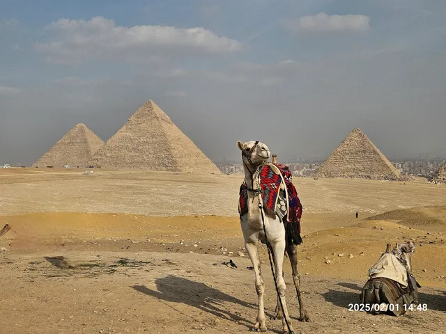 Panoramic View of the Pyramids