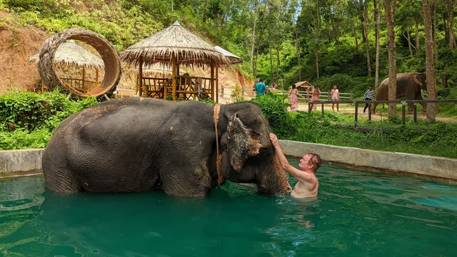 Real Kathu Elephant Sanctuary