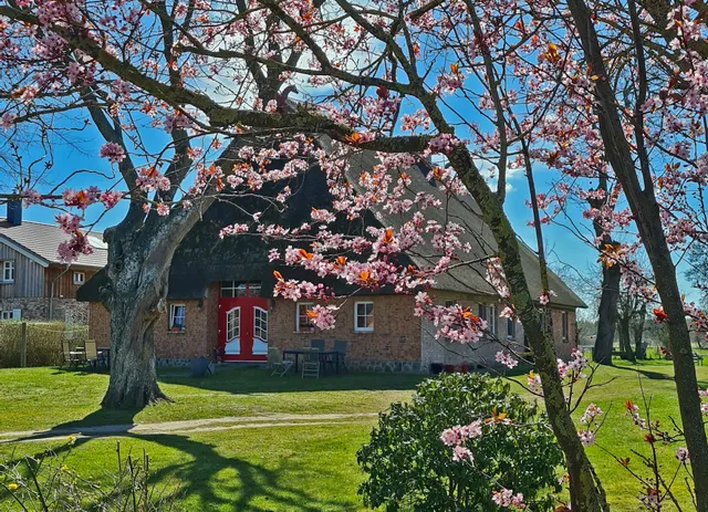 Bauernhaus Dierhagen