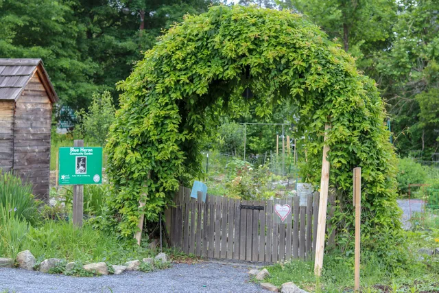 Blue Heron Community Garden