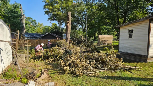 Northeast Oklahoma Electric Cooperative