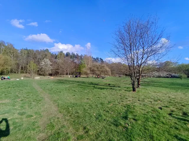 Glade with arbors and bbq area